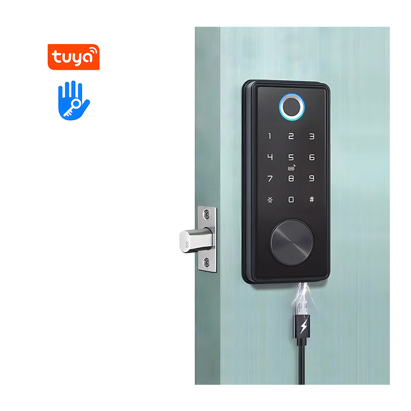 SDL 030 Hotel Digital Keyless Biometric Blueteeth Fingerprint Tuya TTlock Deadbolt Safety Smart Home